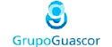 Grupo Guascor